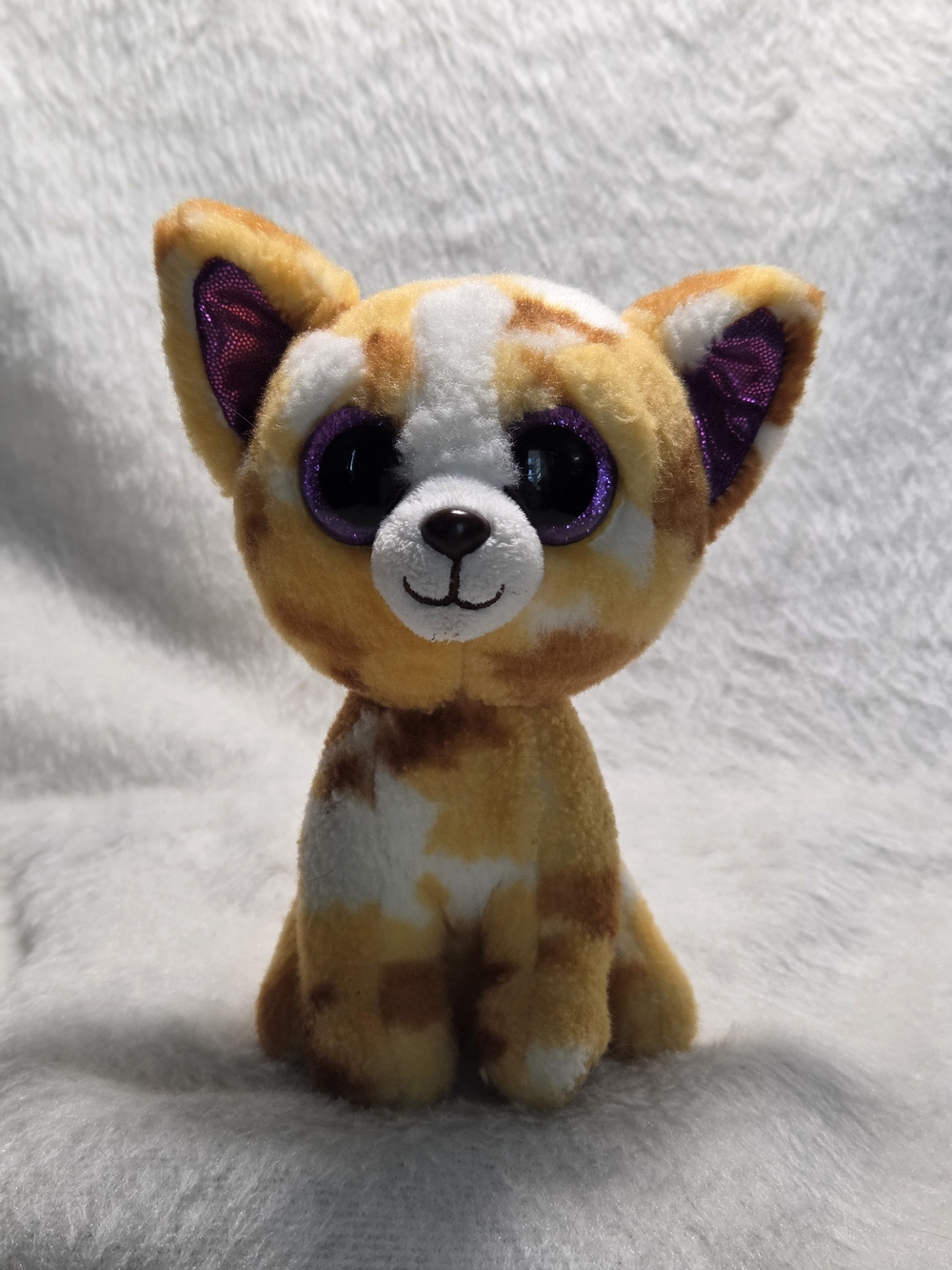 PABLO the Chihuahua Ty Beanie Boos 6" Orange Brown White Stuffed Toy NO HANGTAG